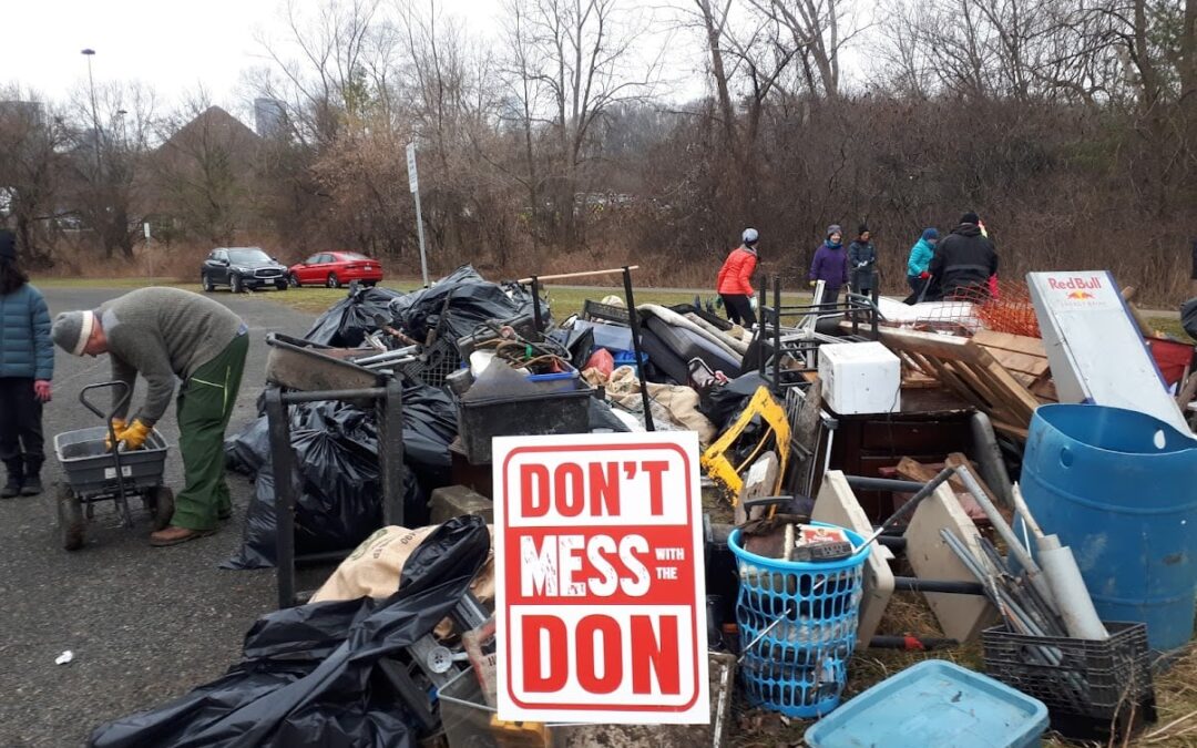 Don Valley Stewardship Group Keeps the Momentum Going Despite Pandemic